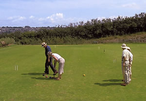  Golf Croquet Final 